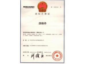 資質(zhì)