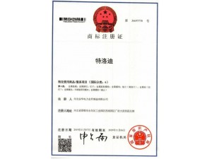 資質