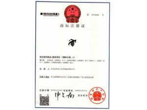 資質